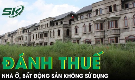Chính phủ yêu cầu nghiên cứu, đề xuất đánh thuế với nhà ở, bất động sản không sử dụng