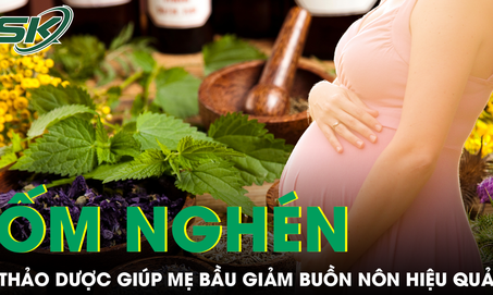 Thảo dược Đông Y giúp giảm buồn nôn hiệu quả cho mẹ bầu ốm nghén nặng