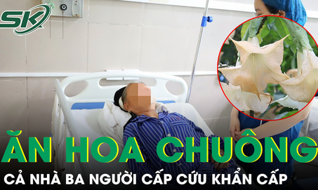 Ăn hoa chu&#244;ng x&#224;o, cả nh&#224; ba người cấp cứu khẩn cấp