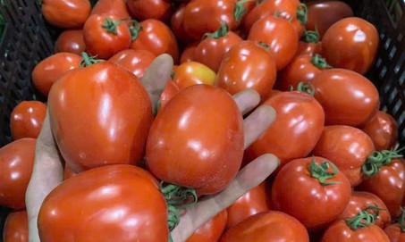 Chế độ dinh dưỡng phù hợp khi điều trị ung thư tuyến tiền liệt
