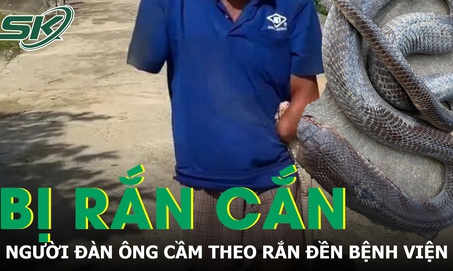 Bị rắn hổ mang cắn, người đàn ông cầm theo con rắn 2m đến bệnh viện