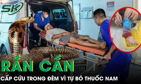Rắn độc bò vào nhà cắn, người bệnh 41 tuổi phải cấp cứu trong đêm