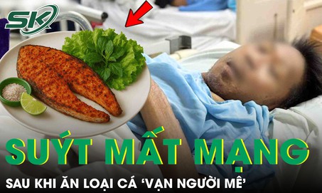 Người đàn ông 48 tuổi suýt mất mạng sau khi ăn loại cá ‘vạn người mê’
