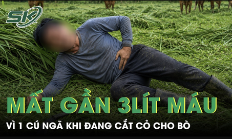 Đang cắt cỏ cho bò, người đàn ông ngã một cú mất gần 3 lít máu