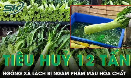 Trung Quốc tiêu hủy gần 12 tấn ngồng xà lách bị ngâm phẩm màu hóa chất