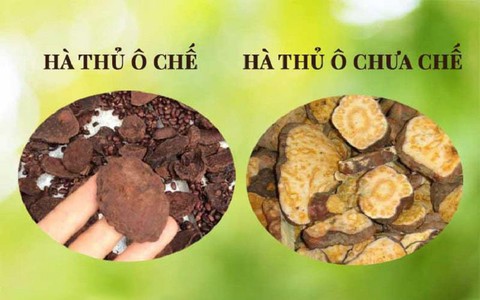 Cao chiết hà thủ ô đỏ có tác dụng trị tóc bạc sớm không? Cao chiết hà thủ ô đỏ có tác dụng trị tóc bạc sớm không?