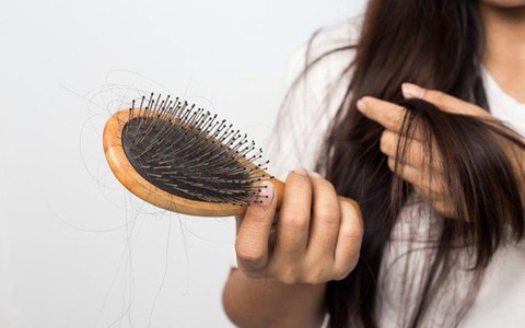 Cập nhật 52 về thuốc nam chữa rụng tóc  cdgdbentreeduvn