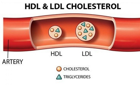 3. Triệu chứng và dấu hiệu nhận biết