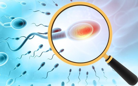 Tinh trùng yếu Nguyên nhân, dấu hiệu nhận biết và cách chữa trị