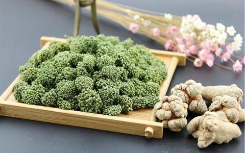 kamelien welcher dünger TerraDomi Kamelien- und Hortensiendünger 1 Liter Flüssigdünger Konzent –  TerraDomi Onlineshop main image 0