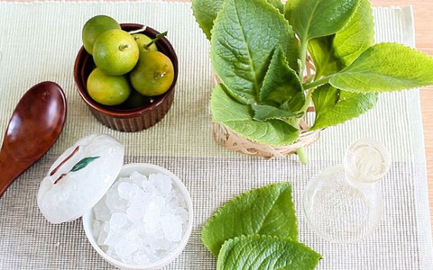 1 số bài thuốc chữa bệnh từ cây húng chanh