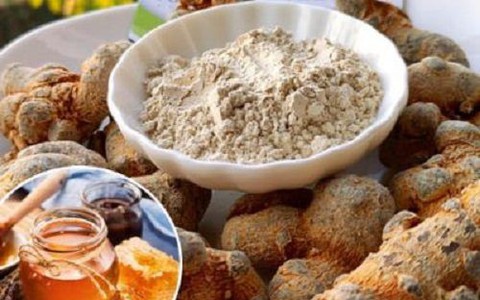 heidelbeeren dünger flüssig Jetzt Heidelbeerdünger main image 1