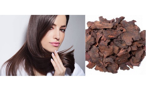 tác dụng của hà thủ ô