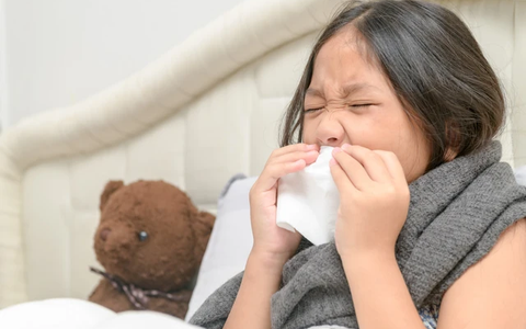 Viêm mũi dị ứng mùa mưa