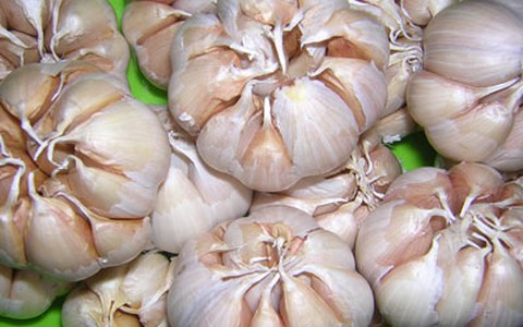 Thực phẩm gây hôi miệng: Những món ăn nên hạn chế để giữ hơi thở thơm mát