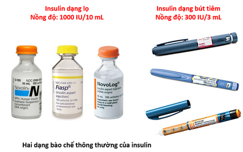 1. Giới Thiệu về Insulin Analog