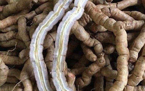 Rượu ba kích có những tác dụng nào? Rượu ba kích có những tác dụng nào?