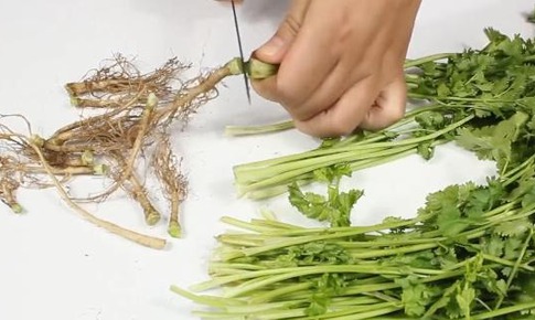 Nấu ăn nhớ đừng bỏ đi 3 thứ này, không những là vị thuốc mà còn phòng chống ung thư hiệu quả