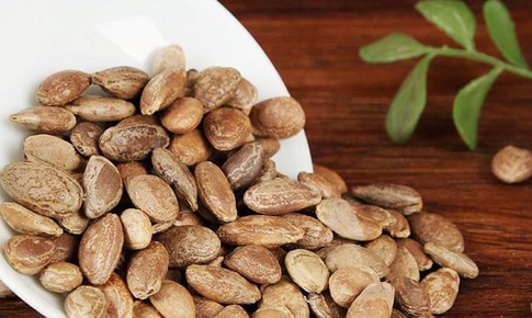 Bài thuốc cổ trị ho có đờm do phế táo