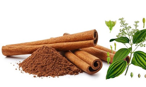 10 lợi ích bất ngờ của quế