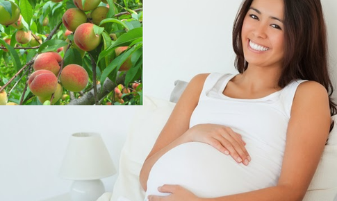Mẹ bầu ăn đào có gây sảy thai, dị tật thai nhi?