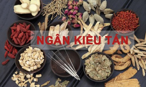 Ngân kiều tán - bài thuốc chữa bệnh truyền nhiễm cấp tính mới phát