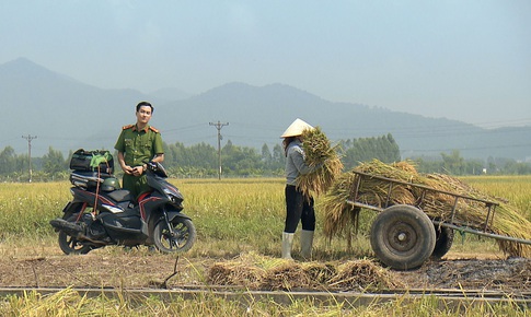 Phim về n&#244;ng th&#244;n c&#243; th&#224;nh &#39;bom tấn&#39; truyền h&#236;nh được kh&#244;ng?