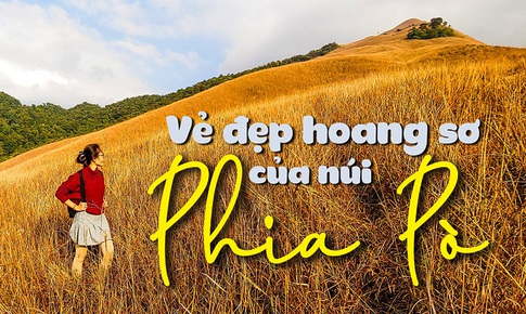 Chinh phục &#39;sống lưng khủng long&#39; tr&#234;n đỉnh n&#250;i Phia P&#242; 