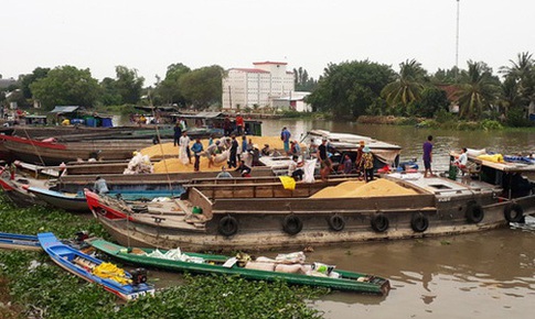 Thống nhất vị tr&#237; đặt c&#225;c chốt kiểm so&#225;t dịch, tạo điều kiện thu mua n&#244;ng sản