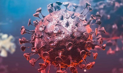 Bài thuốc trị chứng huyết ứ tạng phế