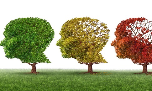 9 th&#243;i quen tốt gi&#250;p ngăn ngừa bệnh Alzheimer