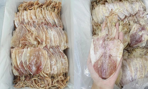 Mực kh&#244; b&#225;n gi&#225; &quot;rẻ giật m&#236;nh&quot; tr&#234;n chợ mạng, chỉ 200.000 đồng/kg loại mực to bằng cả b&#224;n tay