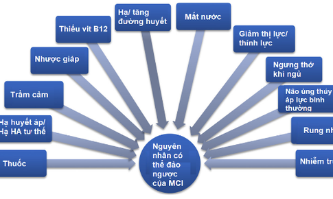 Nguyên nhân có thể điều trị đảo ngược suy giảm nhận thức nhẹ