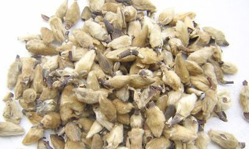 Bài thuốc trị viêm mũi xoang dị ứng