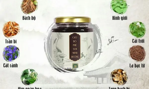 Viêm phế quản là gì? Triệu chứng, nguyên nhân, cách điều trị