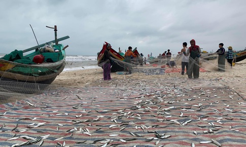 Chuyến biển đầy ắp khoang những ng&#224;y cuối năm của ngư d&#226;n Quảng B&#236;nh