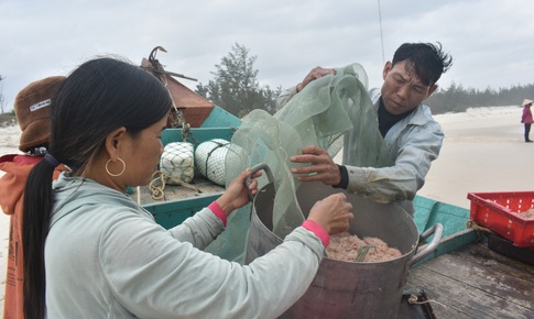 Ch&#249;m ảnh: Ngư d&#226;n v&#249;ng b&#227;i ngang Quảng B&#236;nh vui mừng được m&#249;a ruốc biển