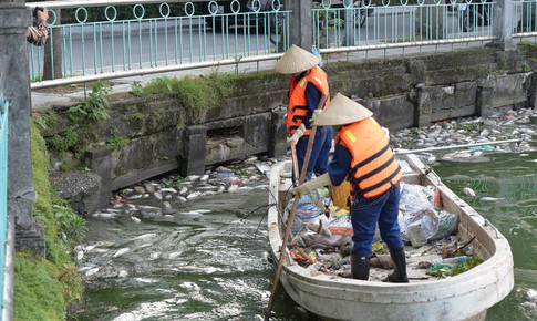 V&#236; sao c&#225; ở Hồ T&#226;y chết li&#234;n tục?