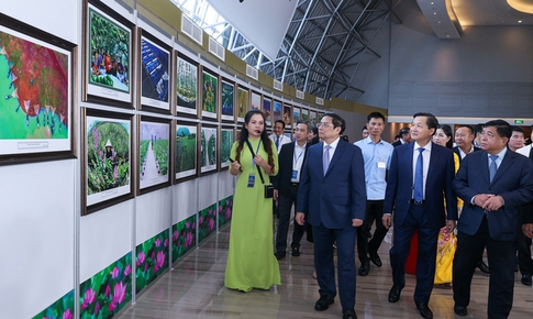 Chủ tịch tỉnh Bình Dương: Bình Dương nỗ lực phát triển, đóng góp nhiều hơn nữa cho vùng Đông Nam Bộ