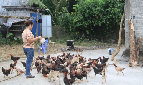 Đồng bộ ch&#237;nh s&#225;ch c&#244;ng t&#225;c x&#227; hội gi&#250;p người d&#226;n tho&#225;t ngh&#232;o ở v&#249;ng s&#226;u, v&#249;ng xa