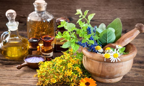 8 thảo dược trị da nứt nẻ trong mùa đông