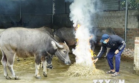 V&#249;ng n&#250;i ph&#237;a Bắc c&#243; nơi dưới 0 độ, nguy cơ băng gi&#225;, sương muối