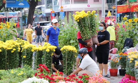 Vạch mặt những chi&#234;u lừa b&#225;n c&#226;y cảnh giả dịp s&#225;t Tết