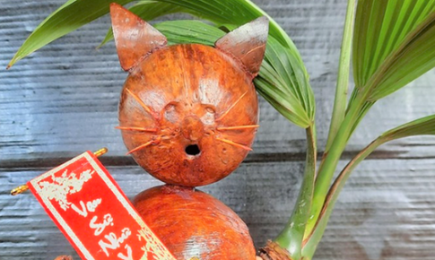 Dừa bonsai mini lạ mắt h&#250;t kh&#225;ch dịp Tết Qu&#253; M&#227;o