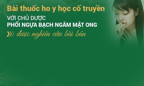 Chữa ho bằng b&#224;i thuốc Đ&#244;ng y c&#243; th&#224;nh phần từ phổi ngựa bạch