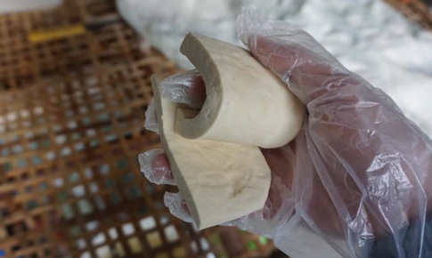 Đậu phụ làng Kênh - Thái Bình món ăn dân dã khiến người dân Thủ đô mê mệt