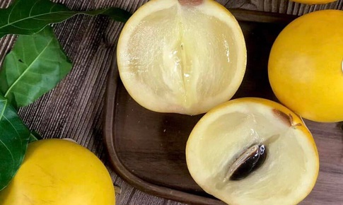 Vú sữa hoàng kim gần 200k/kg khiến chị em tò mò đặt mua tới tấp