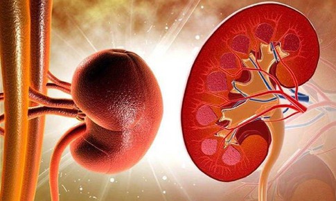 Viêm cầu thận mạn: Nguyên nhân, triệu chứng, điều trị và phòng ngừa
