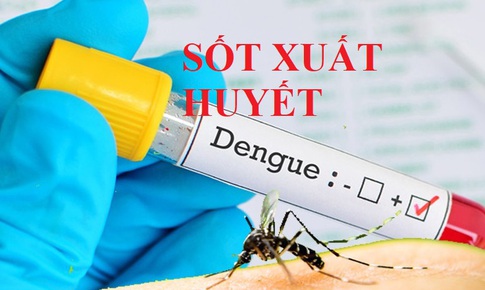 Đ&#227; ghi nhận hơn 60.000 ca mắc sốt xuất huyết, tăng khoảng 8.000 ca so với tuần trước đ&#243;