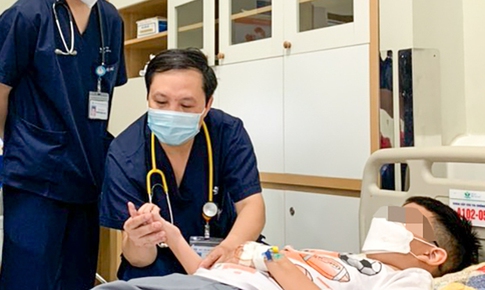 Nuôi 3 con rắn lục làm 'thú cưng', bé trai Hà Nội gặp nguy vì bị 'phản chủ'